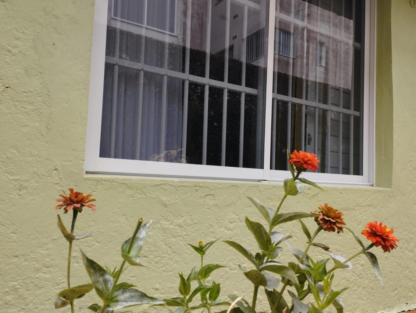 Charmoso Apto Com Clima De Casa Em Canasvieiras Florianopolis Exterior photo